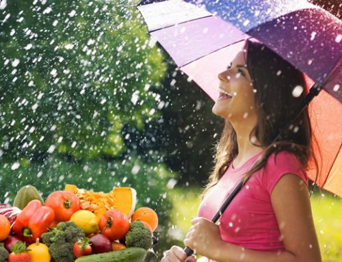 Healthy diet on rainy season