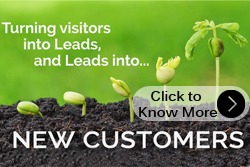 Turning visitors into leads