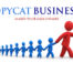 copycat business model